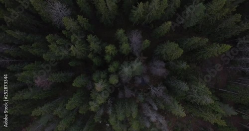 Aerial drone view of a forest road
Smooth drone footage showing a straight road cutting through a dense green forest from a high altitude perspective.
