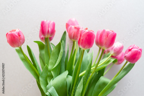 Fototapeta Naklejka Na Ścianę i Meble -  bouquet of tulips isolated on white