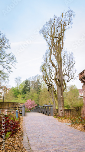 Historische Stadt Wertheim am Main und ihre Hauptsehenswürdigkeit Wertheimer Burg photo