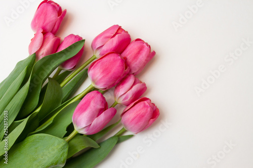Fototapeta Naklejka Na Ścianę i Meble -  bouquet of tulips on white background