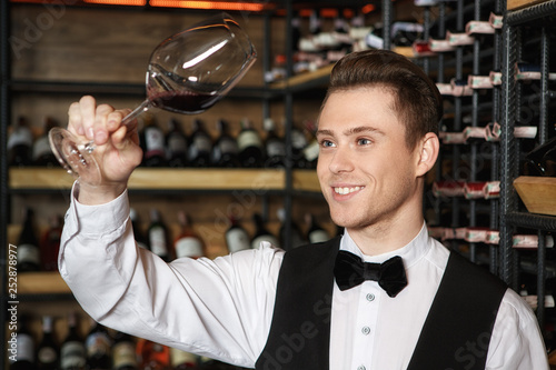 Professional skills. Cheerful handsome sommelier examining wine in a glass smiling happily