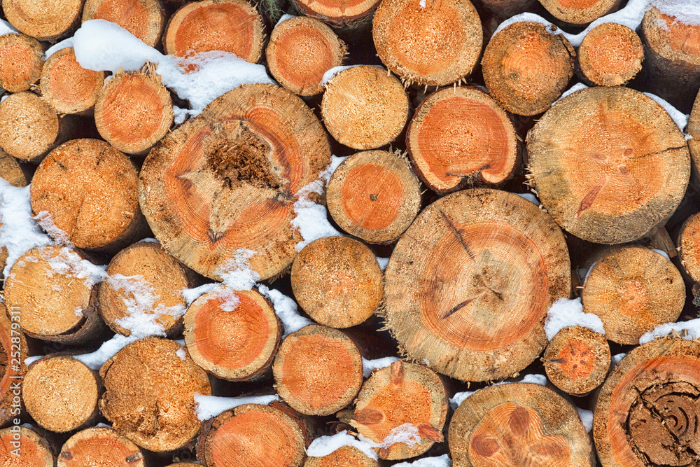 Firewood stacked in winter. Chopped stack of firewood under snow. Pile of Firewood. Preparation of firewood for the winter Firewood stacked in winter. Chopped stack of firewood under snow. Pile of Firewood. Preparation of firewood for the winter