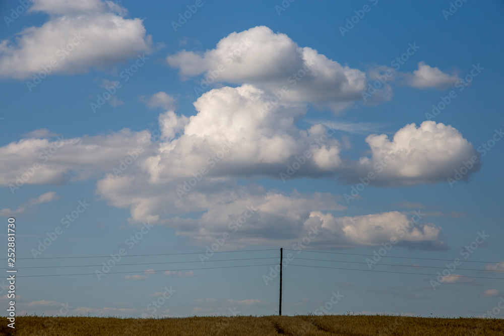 Fototapeta premium Landscape with field and cloudy blue sky.