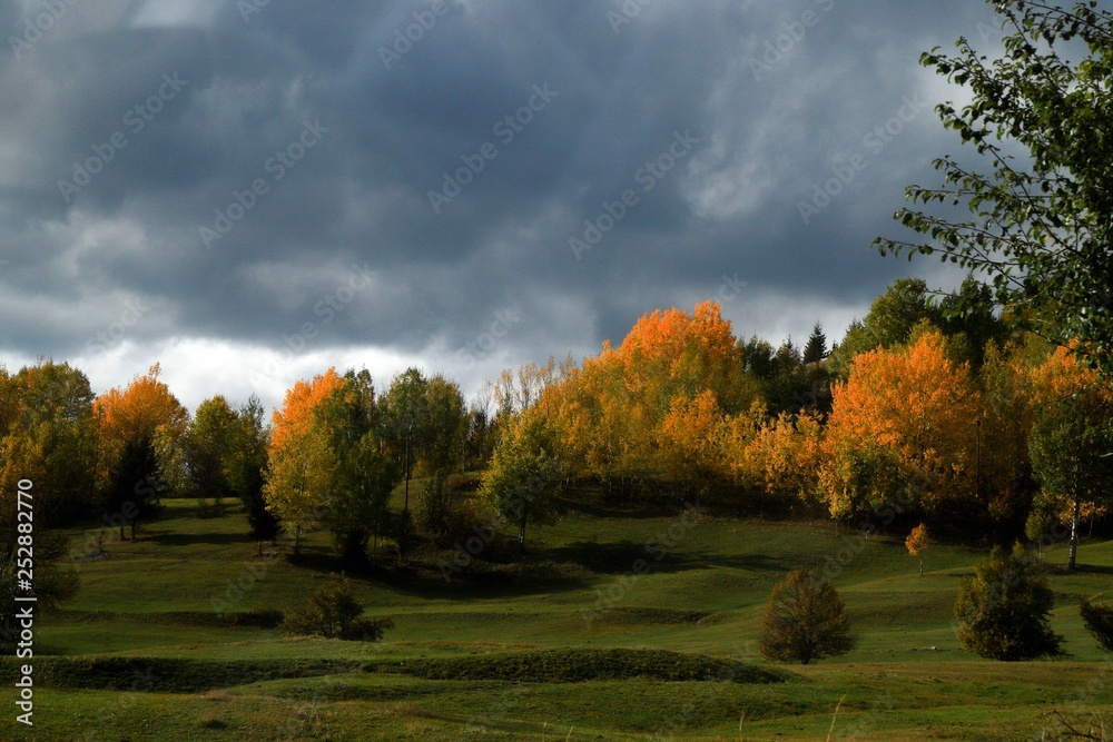 very beautiful autumn photos.savsat/artvin/turkey