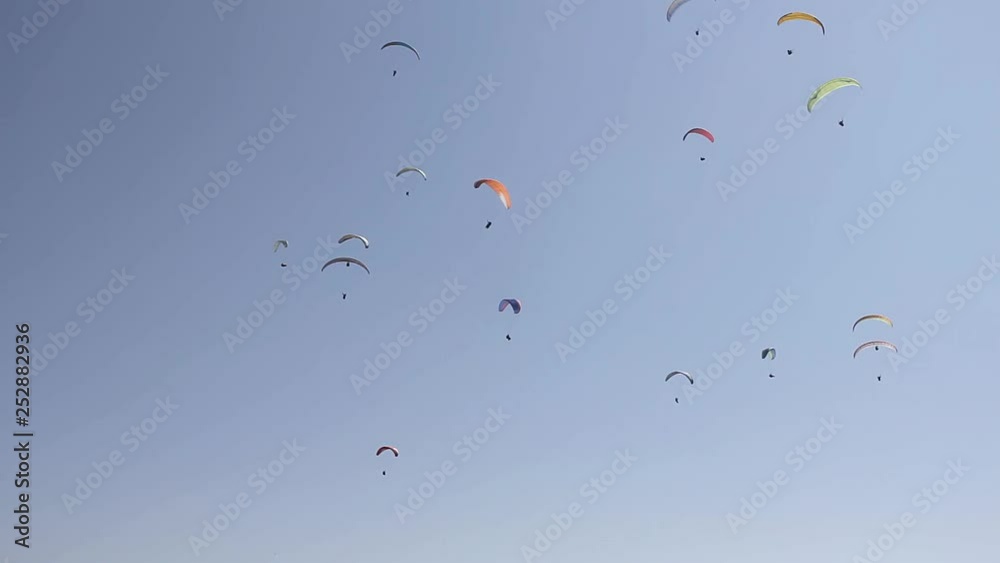 several paragliders on colorful parachutes in a clear blue sky several paragliders on colorful parachutes in a clear blue sky