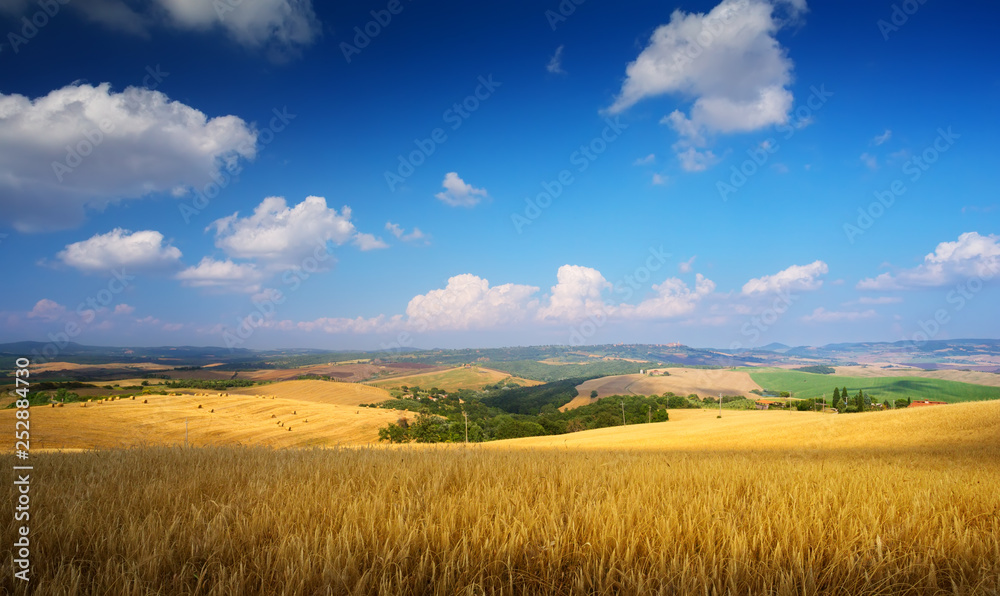 countryside Landscape; summer Tuscany field