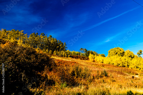 Fall colours on the prairies  Cypress County  Alberta  Canada