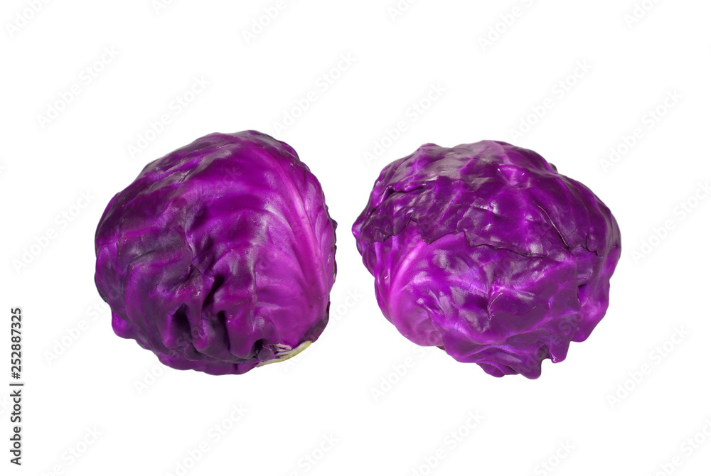 Pair of Fresh Ripe Red Cabbages Isolated on white background Pair of Fresh Ripe Red Cabbages Isolated on white background