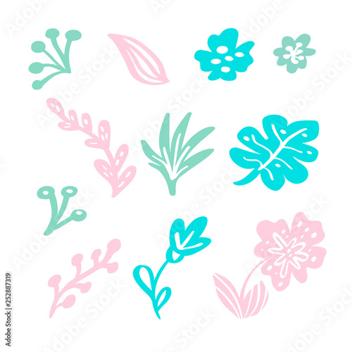 Set of vector isolated flat floral elements on white background. Summer scandinavian hand drawn natural leaves and flowers. Illustration wedding design