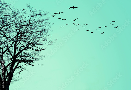 The silhouette of the tree and a flock of birds on a turquoise background. © Tetiana Liubarska