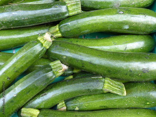 Grüne Zucchini