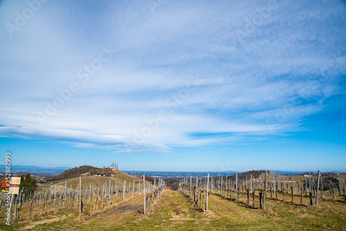 Panorama of Vineyards. Kastenburg south Styria travel spot