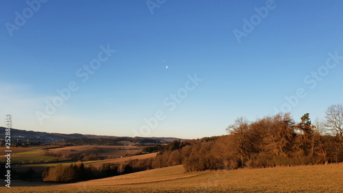 Fototapeta Naklejka Na Ścianę i Meble -  landscape with wheat field and blue sky