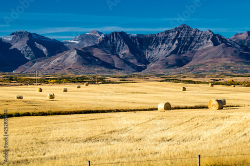 Farmers fields in the shadow of the rockies, Municipal District of Pincher Creek, Alberta, Canada