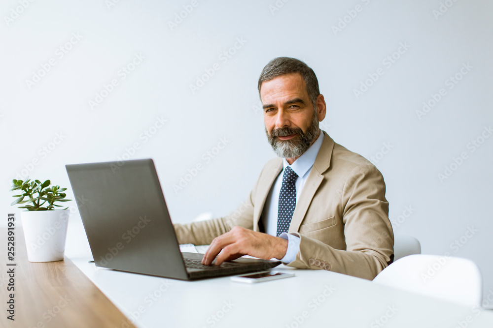 Mature businessman in classic suit using a laptop while working in his office Mature businessman in classic suit using a laptop while working in his office