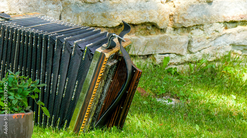 5101_An_accordion_is_placed_on_a_grassy_area_in_a_park.jpg photo