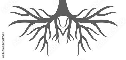 Tree roots shape.