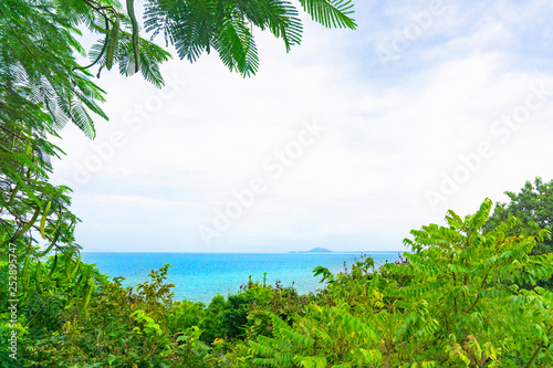 Green forest background with sea backdrop © jiaking1