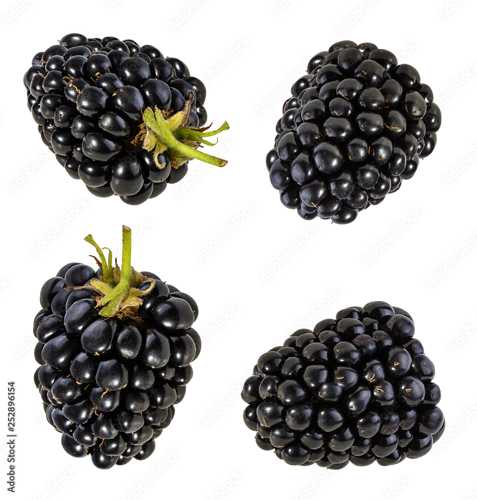 Fresh blackberry isolated on white background with clipping path Fresh blackberry isolated on white background with clipping path