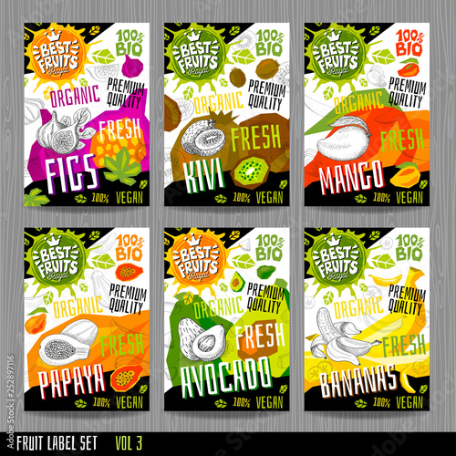 Food labels stickers set colorful sketch style fruits, spices vegetables package design. Figs, kiwi, mango, avocado, papaya, bananas, raspberries. Organic, fresh, bio, eco.