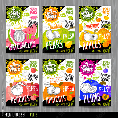 Food labels stickers set colorful sketch style fruits, spices vegetables package design. Watermelon, pear, apples, plums, peaches, apricots. Organic, fresh, bio, eco. Hand drawn vector illustration.