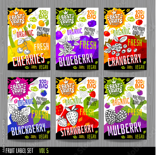 Food labels stickers set colorful sketch style fruits, spices vegetables package design. Cherries, strawberry, blueberry, cranberry, blackberry, mulberry. Organic, fresh, bio, eco.