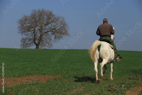 A cavallo nel Parco di Veio