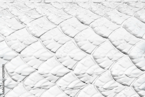 White dragon scale texture for background