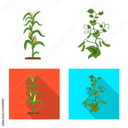 Vector illustration of greenhouse and plant icon. Set of greenhouse and garden vector icon for stock.