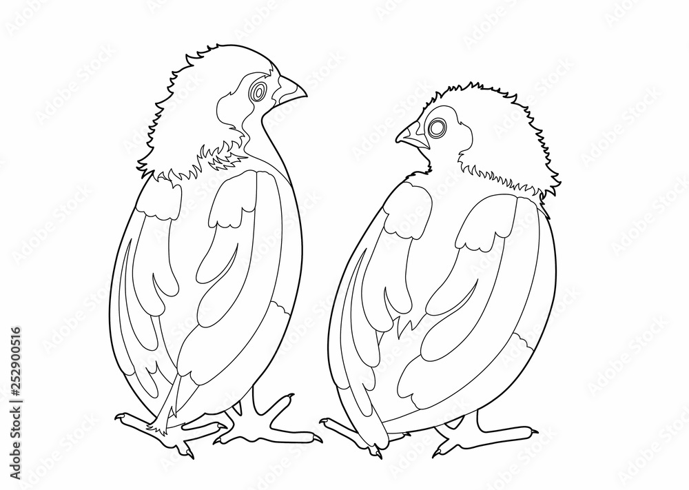 Drawing two birds conversation Drawing two birds conversation