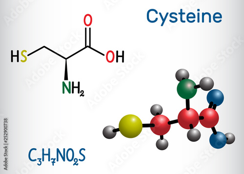 Cysteine  (L-cysteine, Cys, C) proteinogenic amino acid molecule.  Structural chemical formula and molecule model