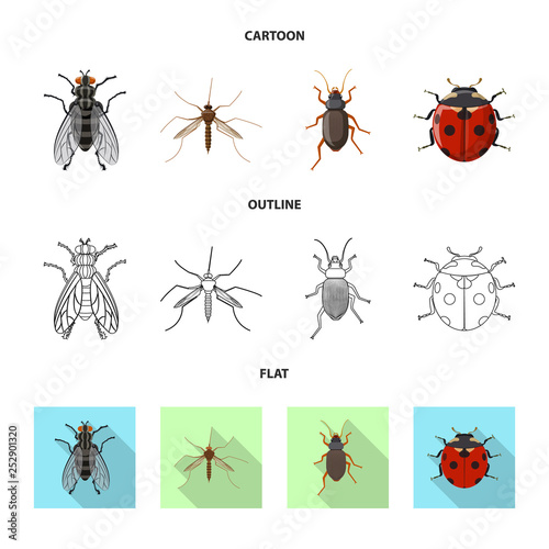 Vector design of insect and fly sign. Collection of insect and element stock symbol for web. © Svitlana