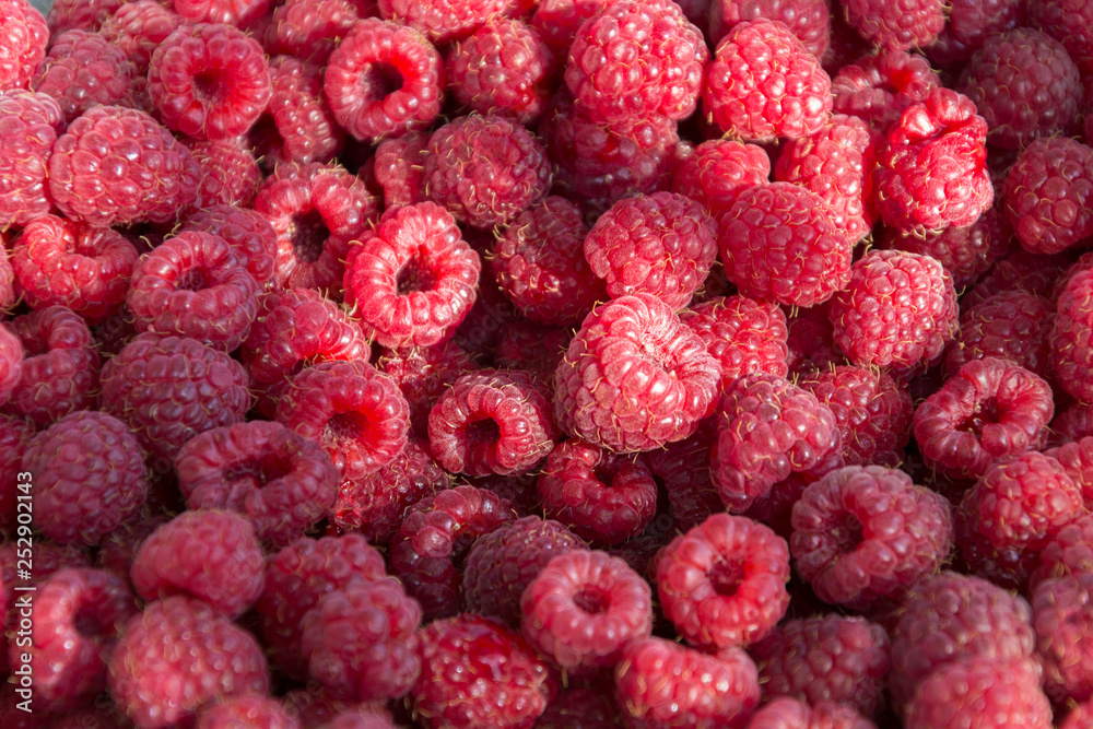 Background from fresh ripe red raspberry berries. Close-up, top view. Flat lay. Background from fresh ripe red raspberry berries. Close-up, top view. Flat lay.