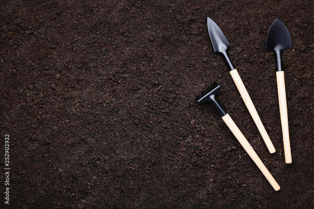 Garden shovel and rake on the ground Garden shovel and rake on the ground