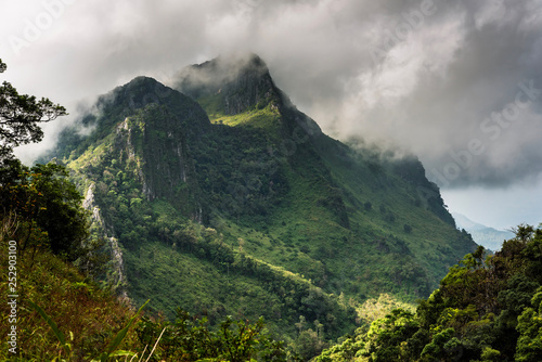 High mountains tropical rainforests Thailand
