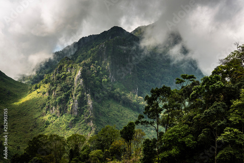 High mountains  tropical rainforests  Thailand © sittitap