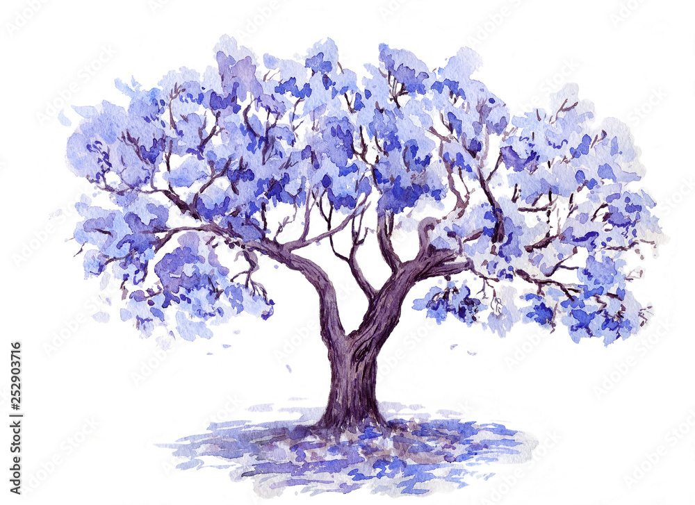 The Jacaranda Trees. Hand drawn sketch. Watercolor illustration Stock