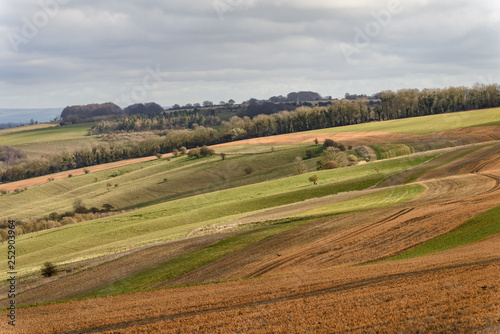 English countryside in late winter. There are rolling hills with trees, and a mixture of green grass and brown stubble. There is a pattern of sunlight and shade from clouds. 