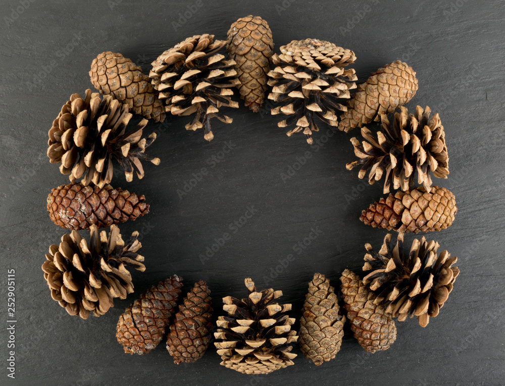 Dry Brown Pine Cones Background, Texture or Pattern Dry Brown Pine Cones Background, Texture or Pattern