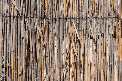 Texture of the fence of reeds close-up.