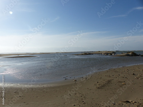 Landschaften an der Rhonem  ndung bei Salin-de-Giraud   Frankreich