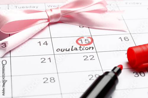 Obraz na płótnie circling the date of the 15th day in the calendar