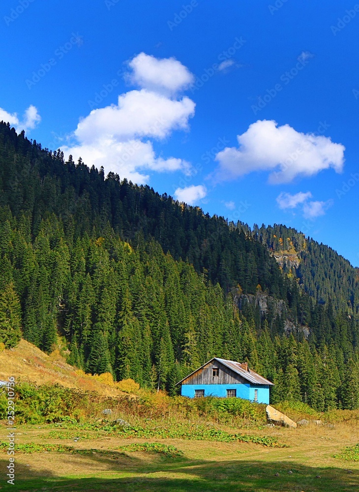  very beautiful autumn photos.savsat/artvin/turkey