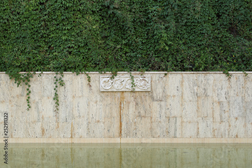 Water surface and an old stone wall with bas-relief and ivy