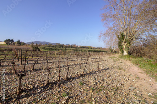 Saint-Chinian, France