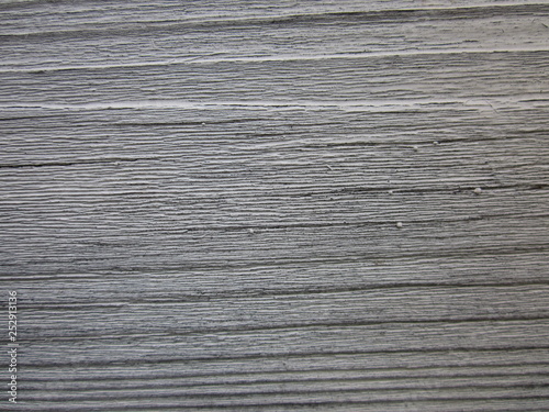 wood texture old grey wall abstract tree
