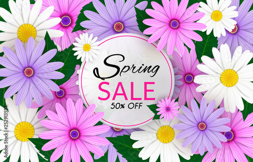 Spring Sale Banner background with beautiful colorful flowers are blooming.And use it as a banner or placard.And is used as an illustration or backdrop. -vector
