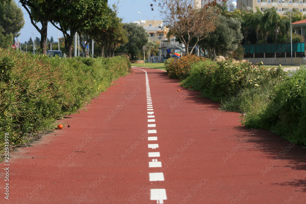 Empty bicycle lane between bushes Empty bicycle lane between bushes