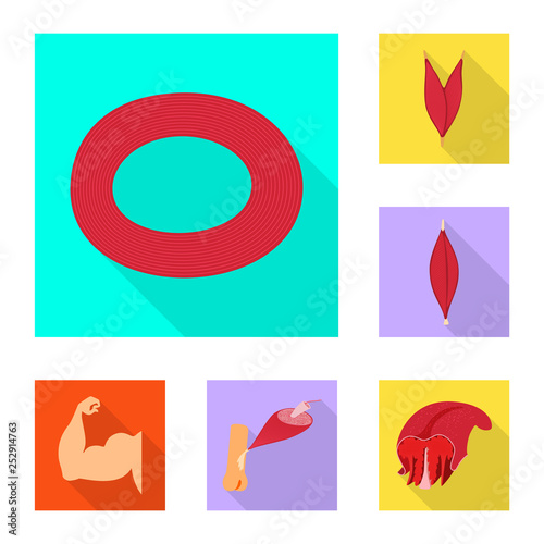 Vector illustration of muscle and cells sign. Set of muscle and anatomy stock vector illustration.