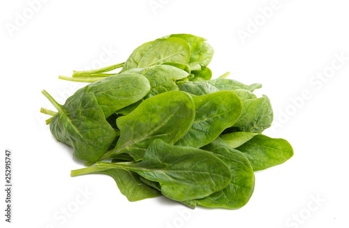 spinach leaves isolated